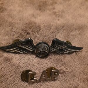 Silver and Gold Winged Pin